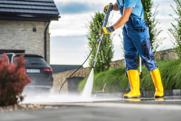 Best Gutter Cleaning and Brightening in Seguin, TX